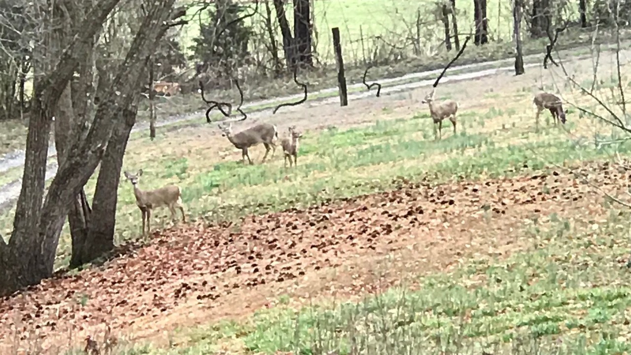 Photo of Outdoor in Cullowhee