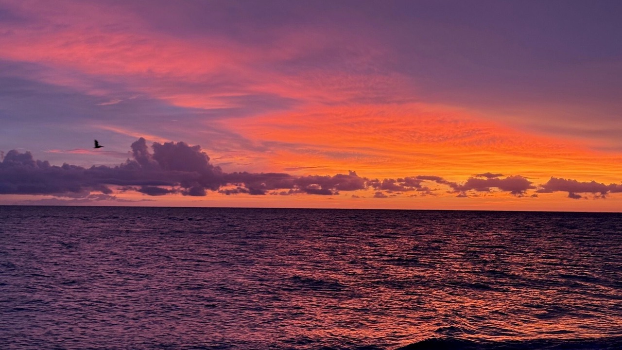 Photo of Others in North Captiva