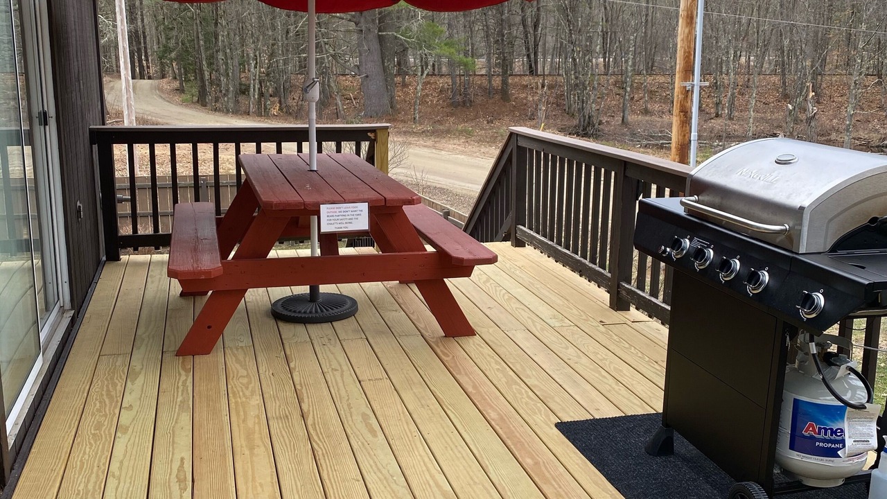 Photo of Others in West Ossipee