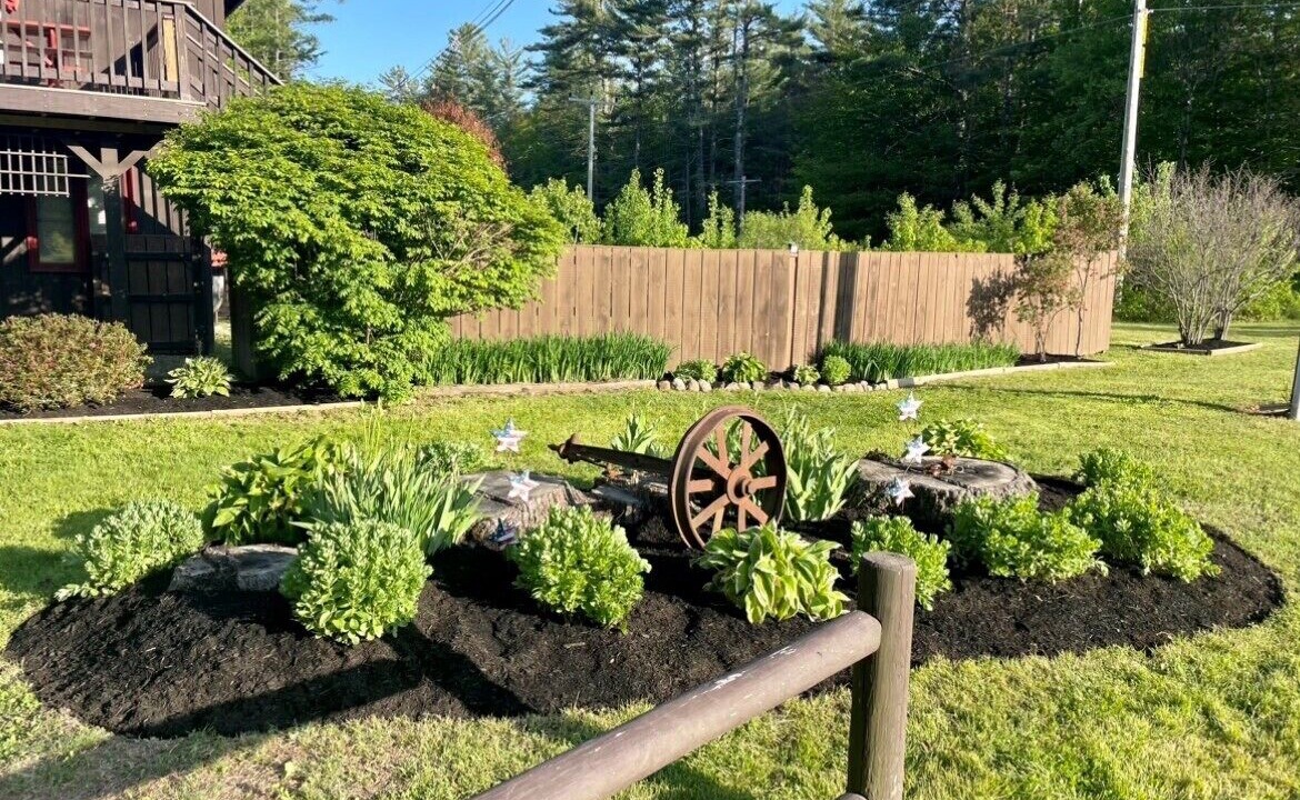 Photo of Outdoor in West Ossipee