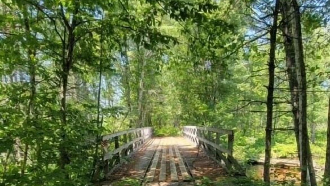 Photo of Outdoor in West Ossipee