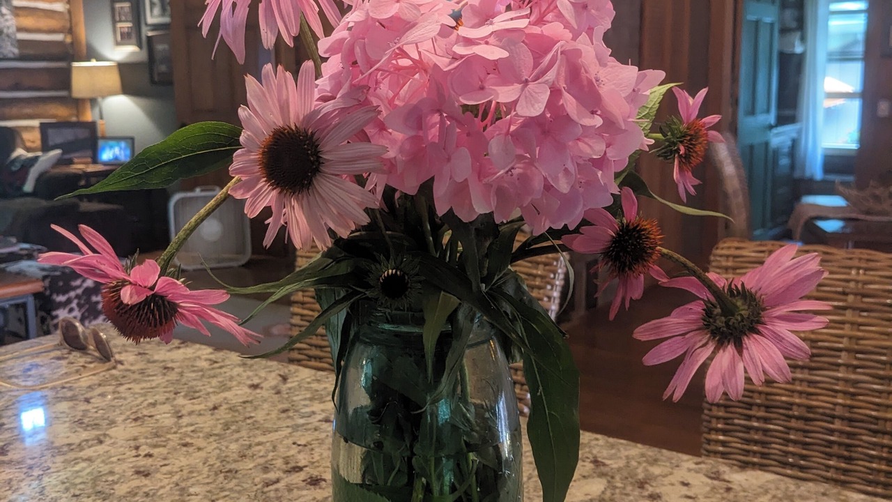 Photo of Others in Salem