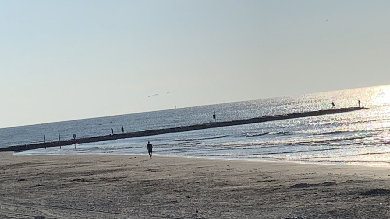 Photo of Others in Galveston