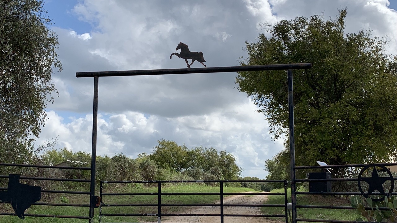 Photo of Others in Seguin