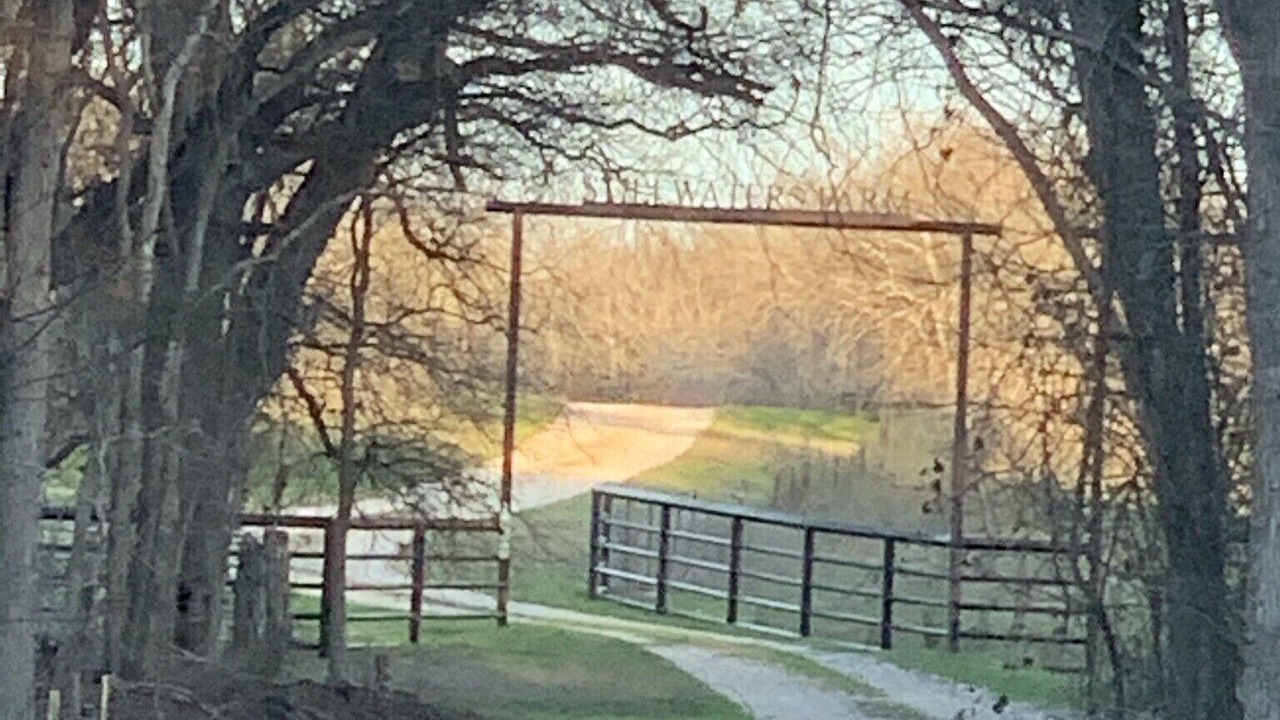 Photo of Others in Seguin