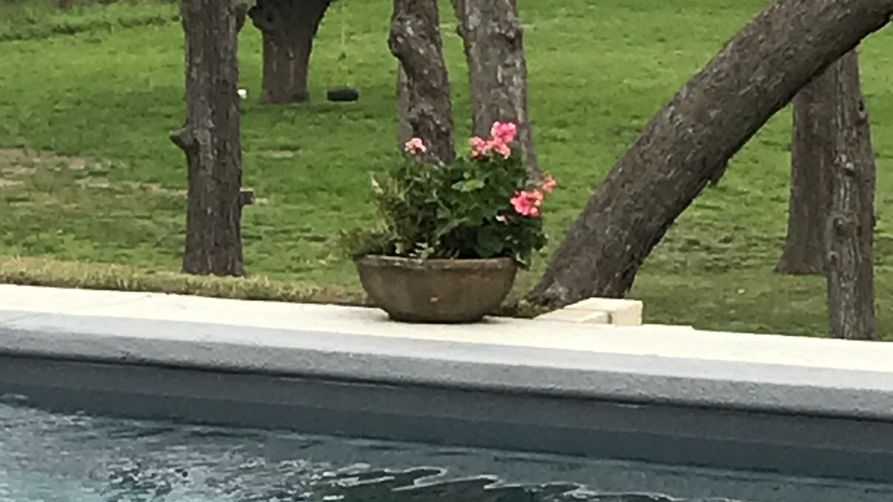 Photo of Outdoor in Seguin
