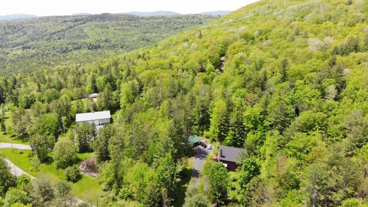 Photo of Outdoor in North Blenheim