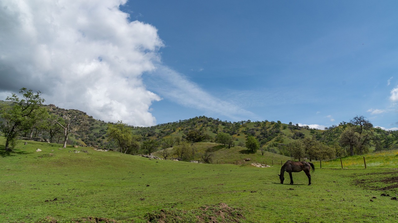 Photo of Outdoor in Kaweah