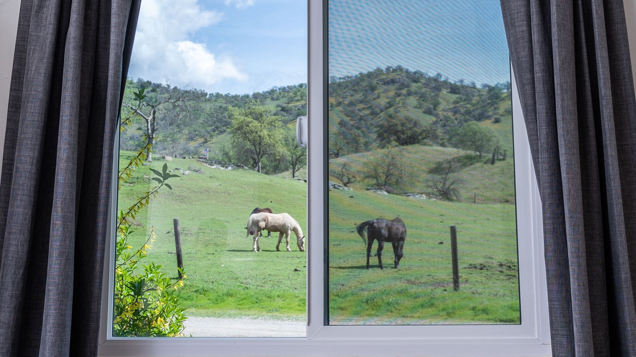 Photo of Others in Kaweah