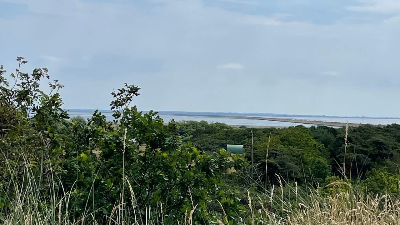 Photo of Others in Bolilmark
