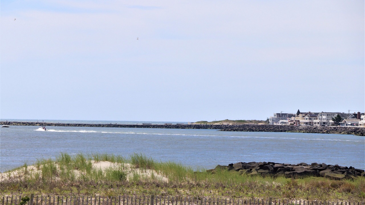 Photo of Others in Townsend's Inlet