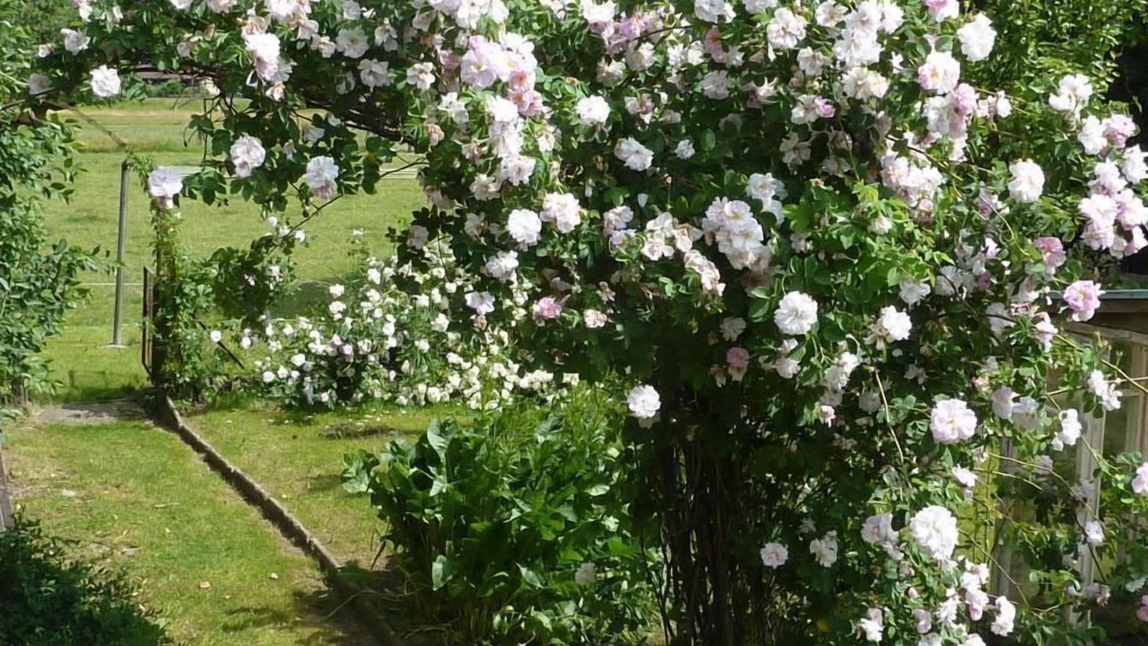 Photo of Others in Hasle bei Burgdorf