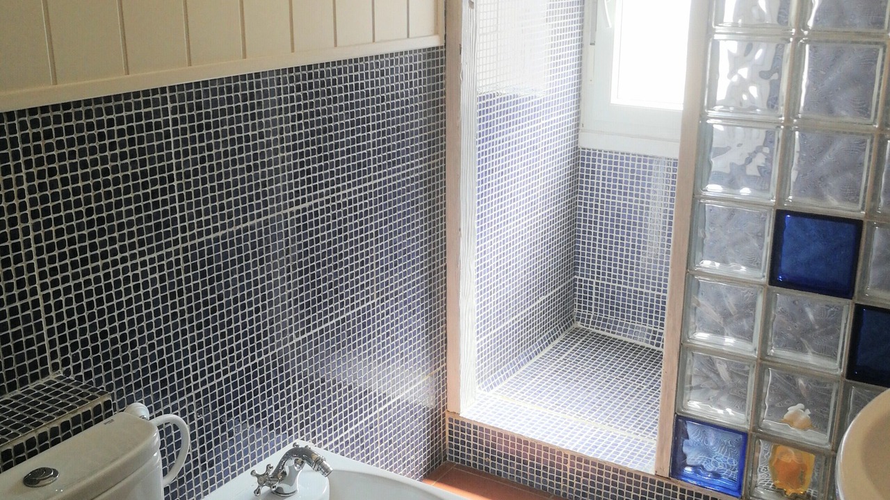 Photo of Bathroom in Valdetorres de Jarama
