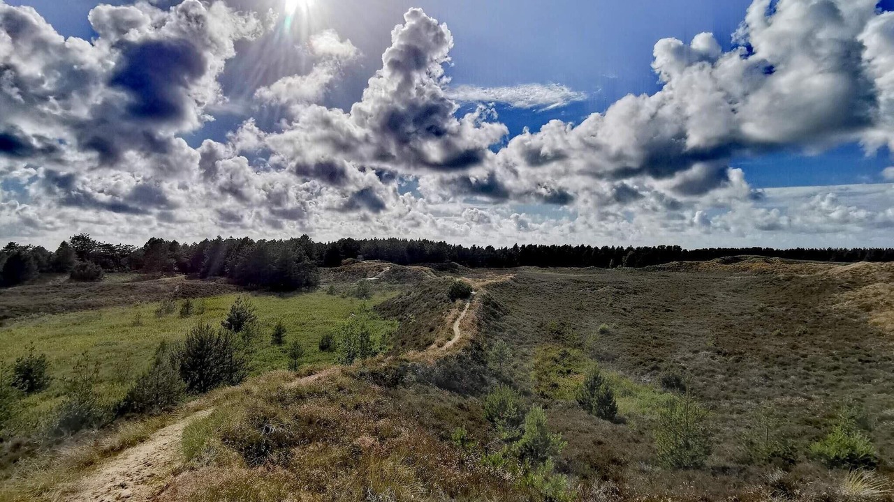 Photo of Others in Kongsmark