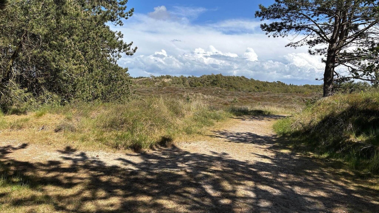 Photo of Others in Kongsmark