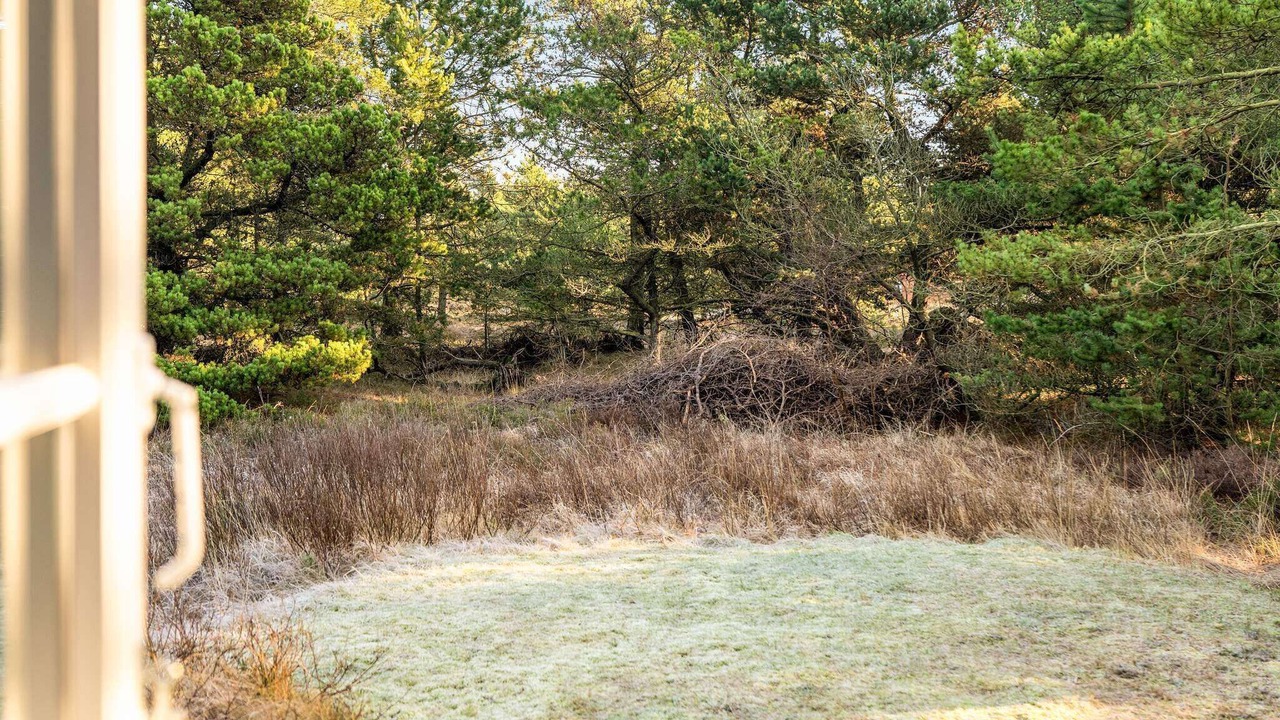 Photo of Others in Kongsmark