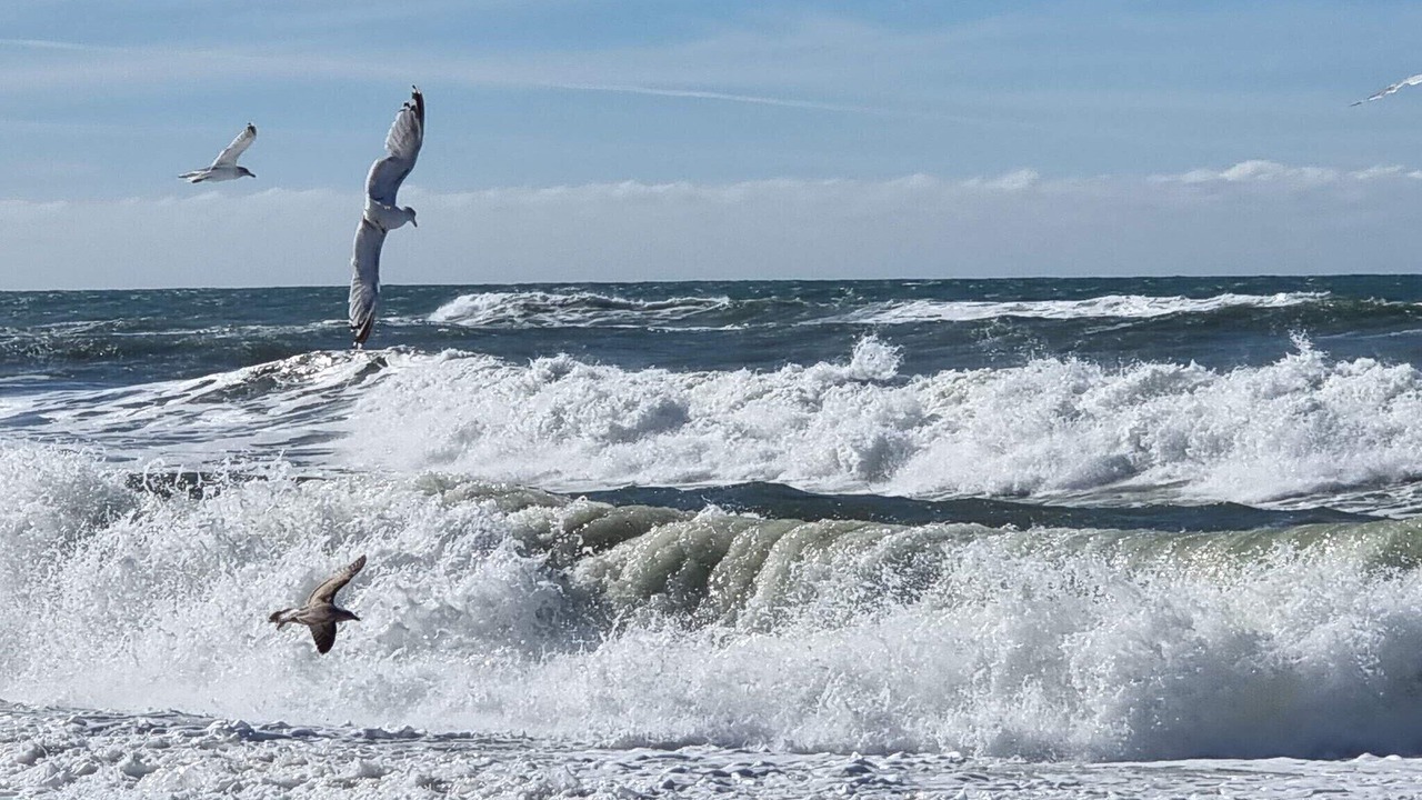 Photo of Others in Vrist Strand