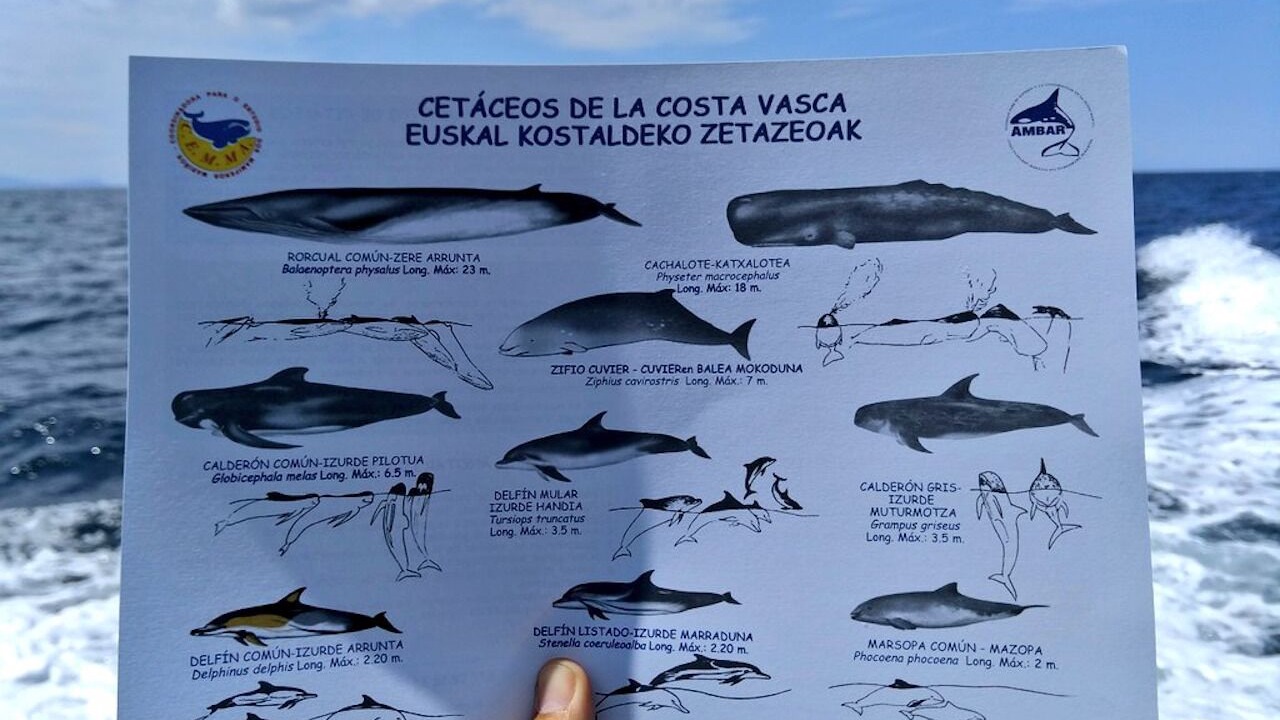 Photo of Outdoor in Busturia