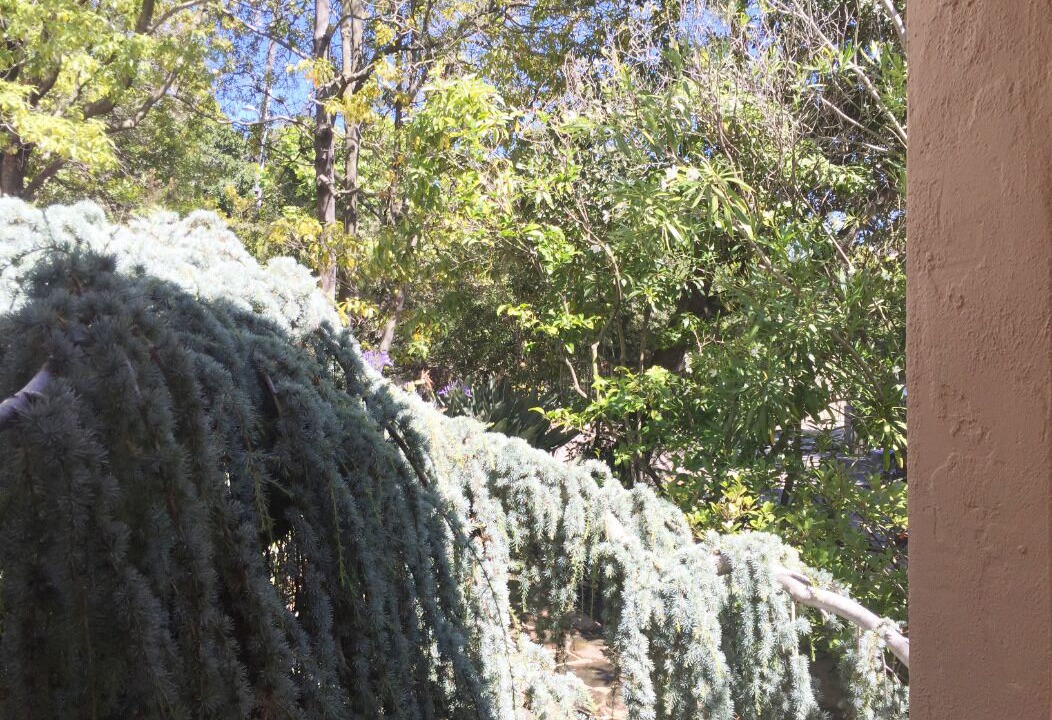 Photo of Outdoor in Claremont