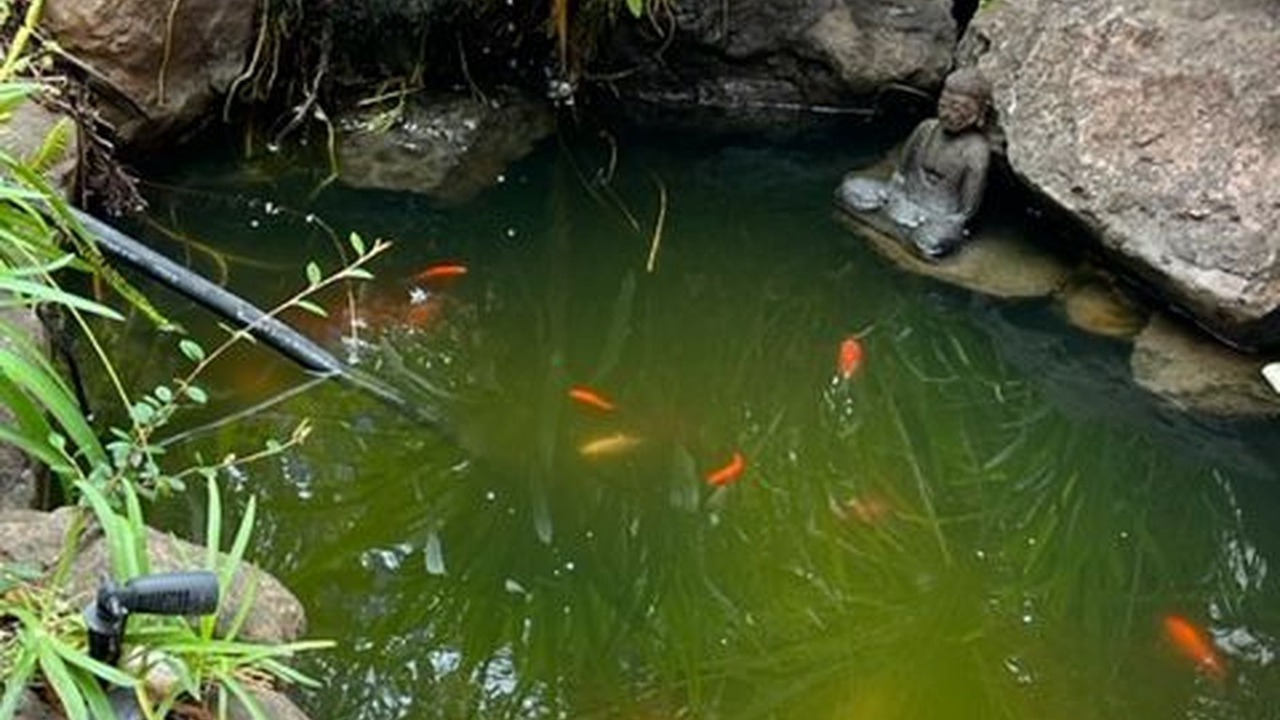 Photo of Outdoor in Claremont