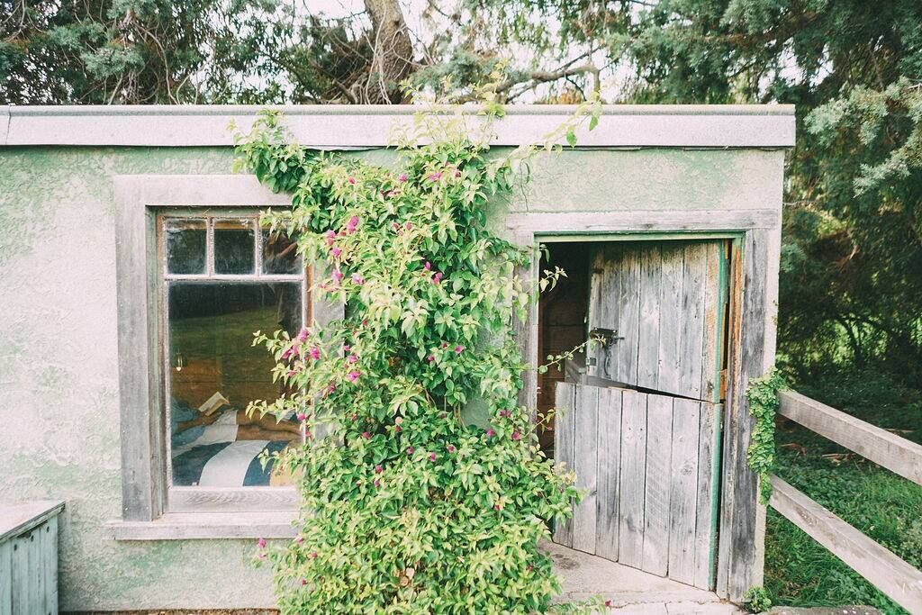 Photo of Others in Havelock North