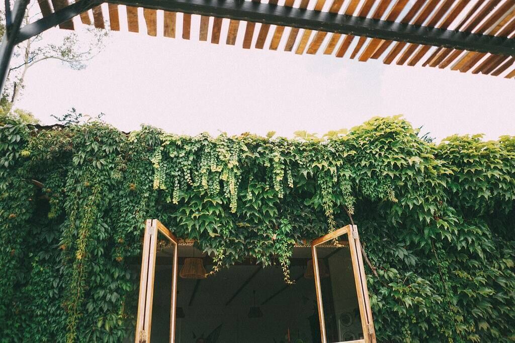 Photo of Others in Havelock North