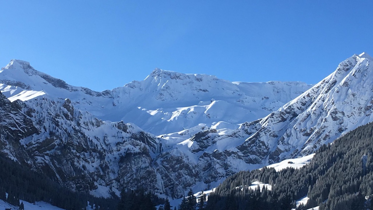 Photo of Others in Adelboden