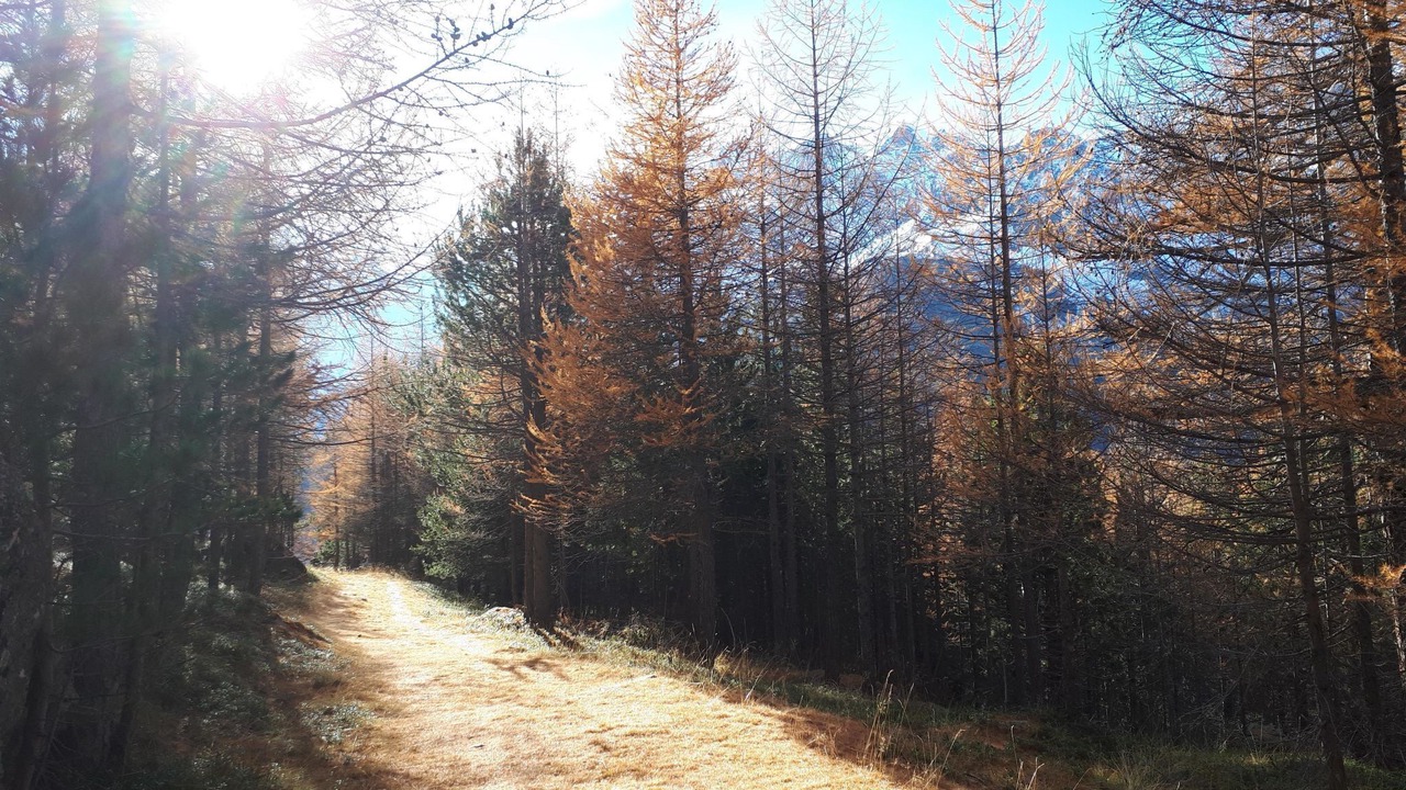 Photo of Outdoor in Saas Grund