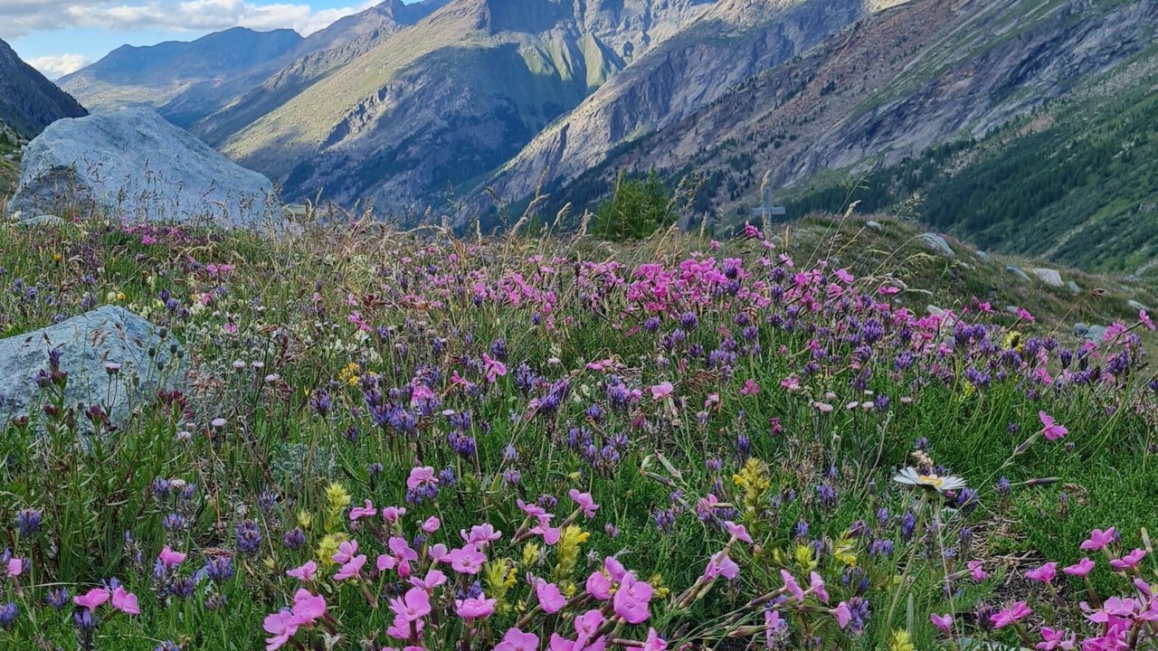 Photo of Outdoor in Saas Grund