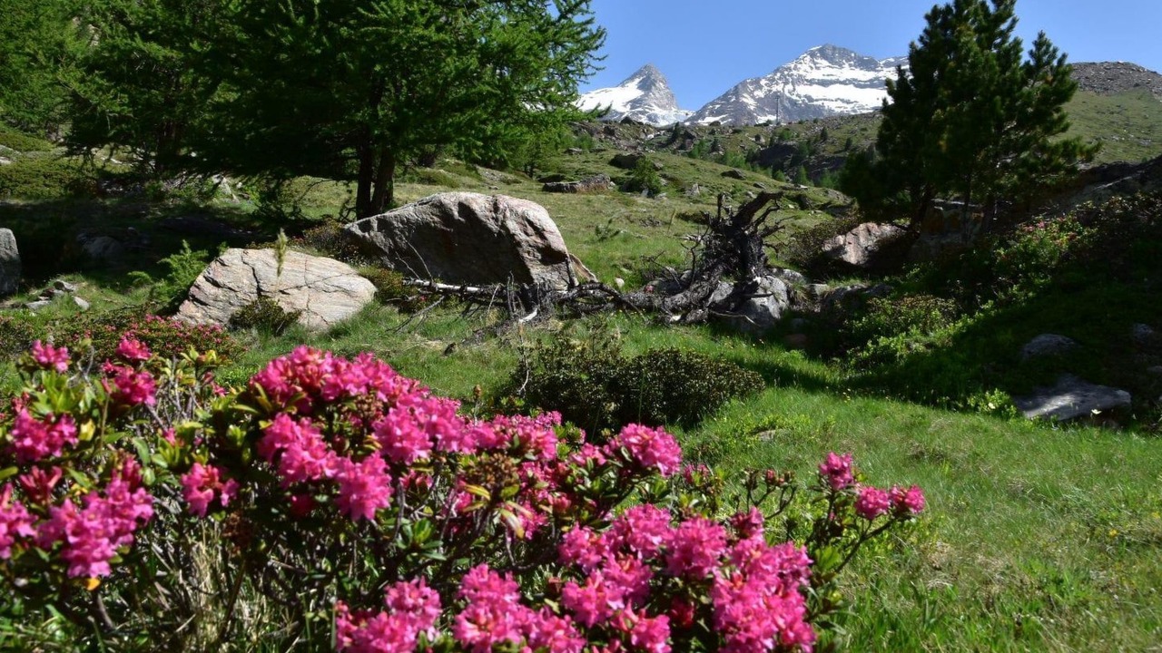 Photo of Outdoor in Saas Grund