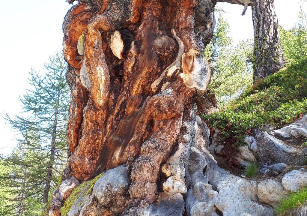 Photo of Outdoor in Saas Grund