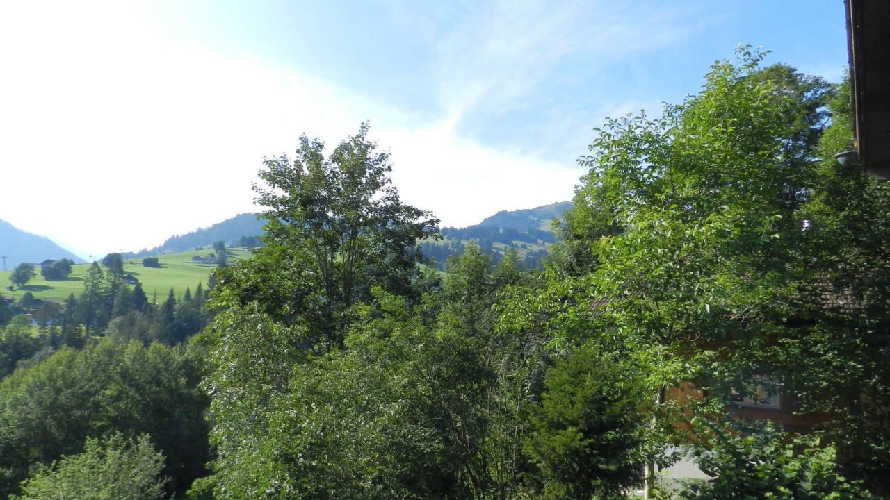 Photo of Others in Zweisimmen
