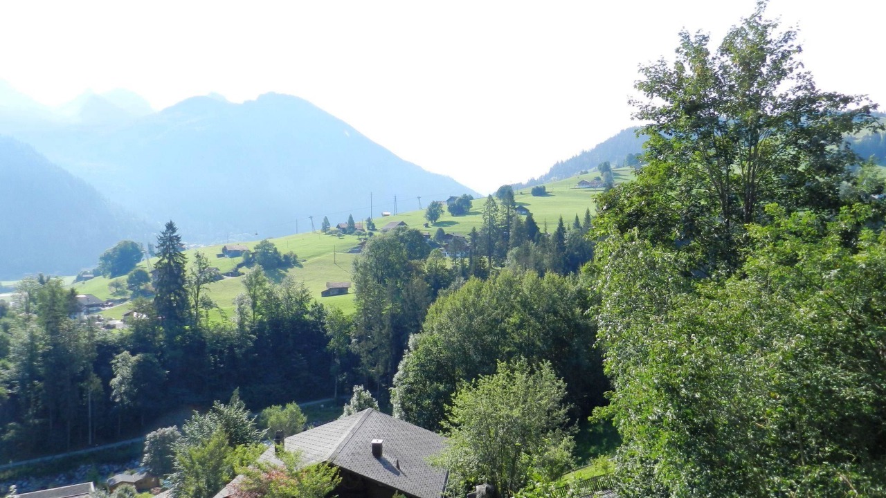 Photo of Others in Zweisimmen