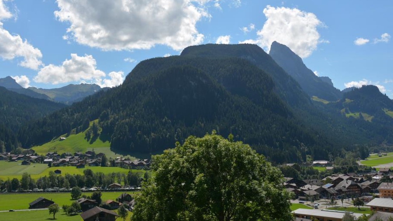 Photo of Others in Saanen