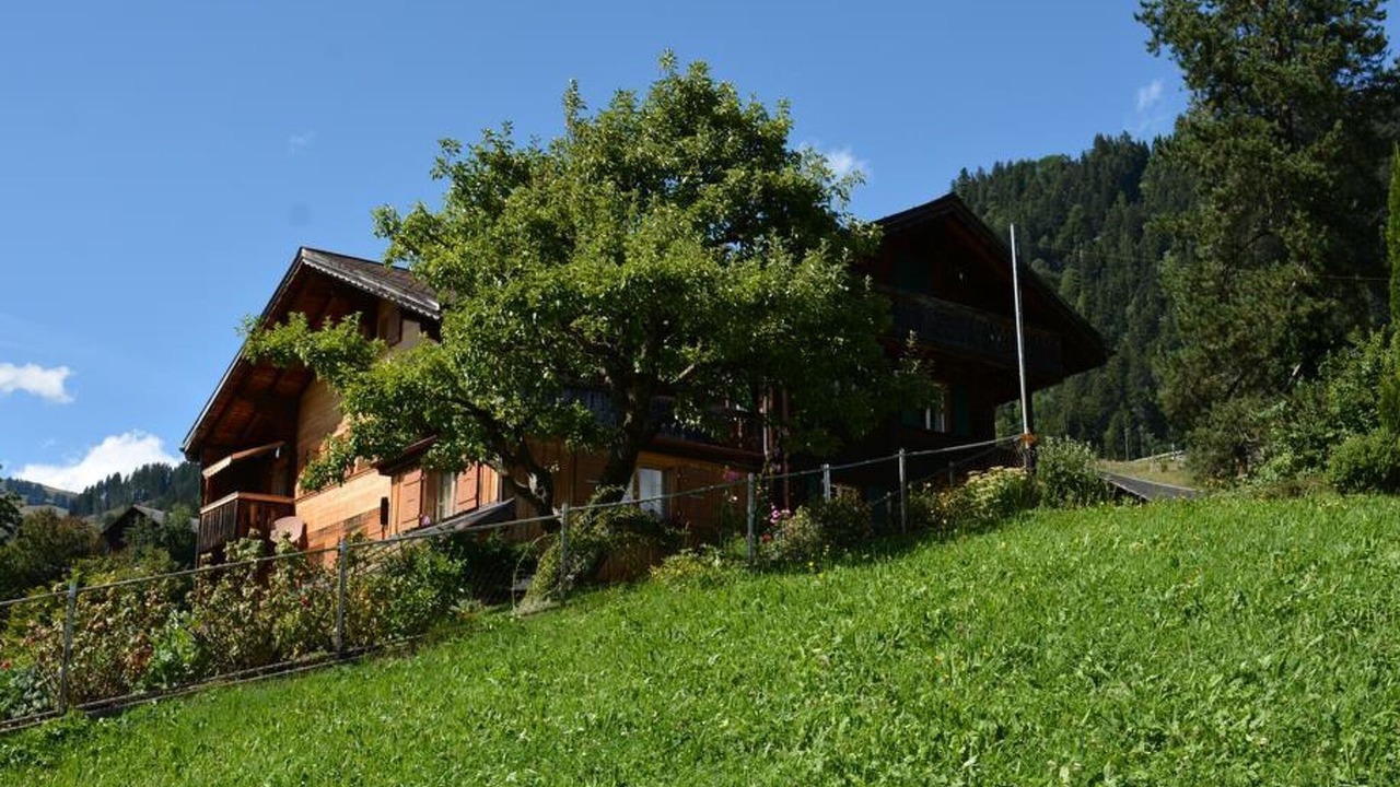 Photo of Outdoor in Saanen