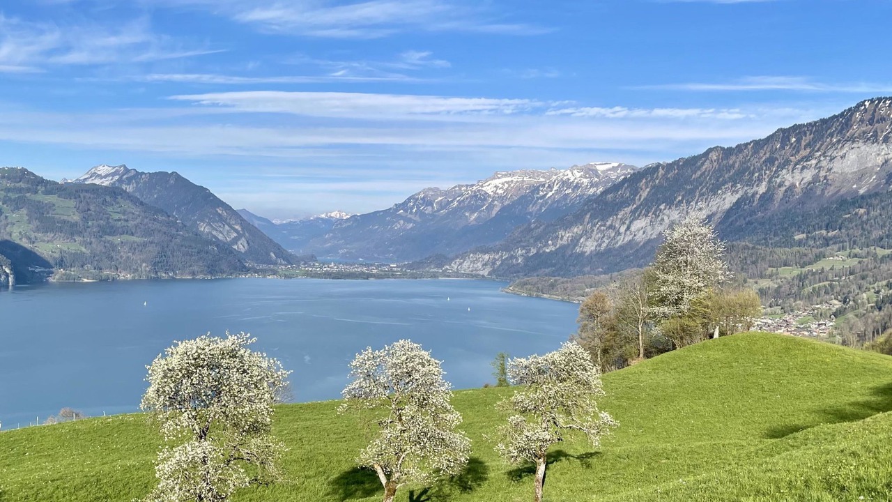 Photo of Others in Krattigen