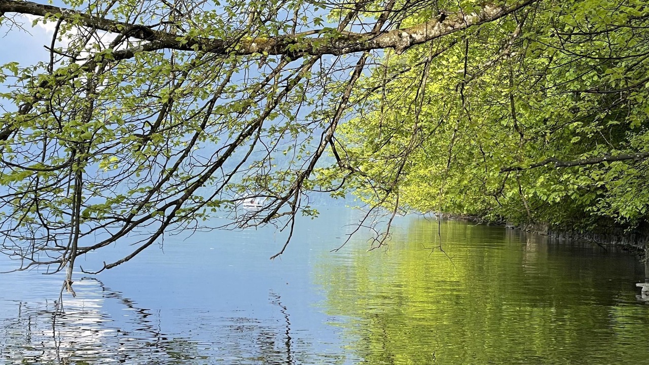 Photo of Outdoor in Krattigen
