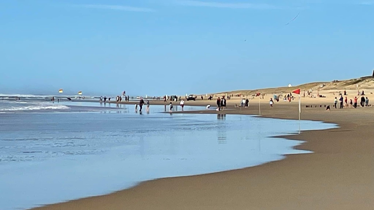 Photo of Others in Mimizan-Plage