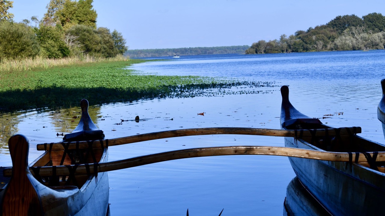 Photo of Others in Mimizan-Plage