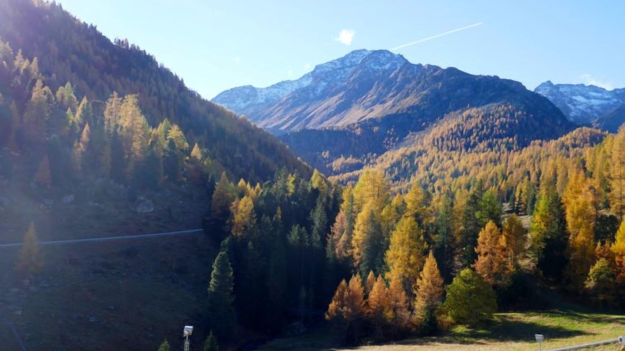 Photo of Others in Noveli