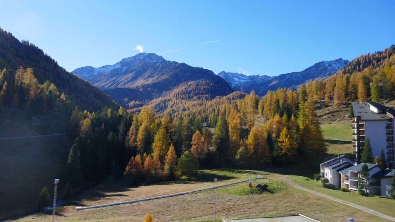 Photo of Others in Noveli