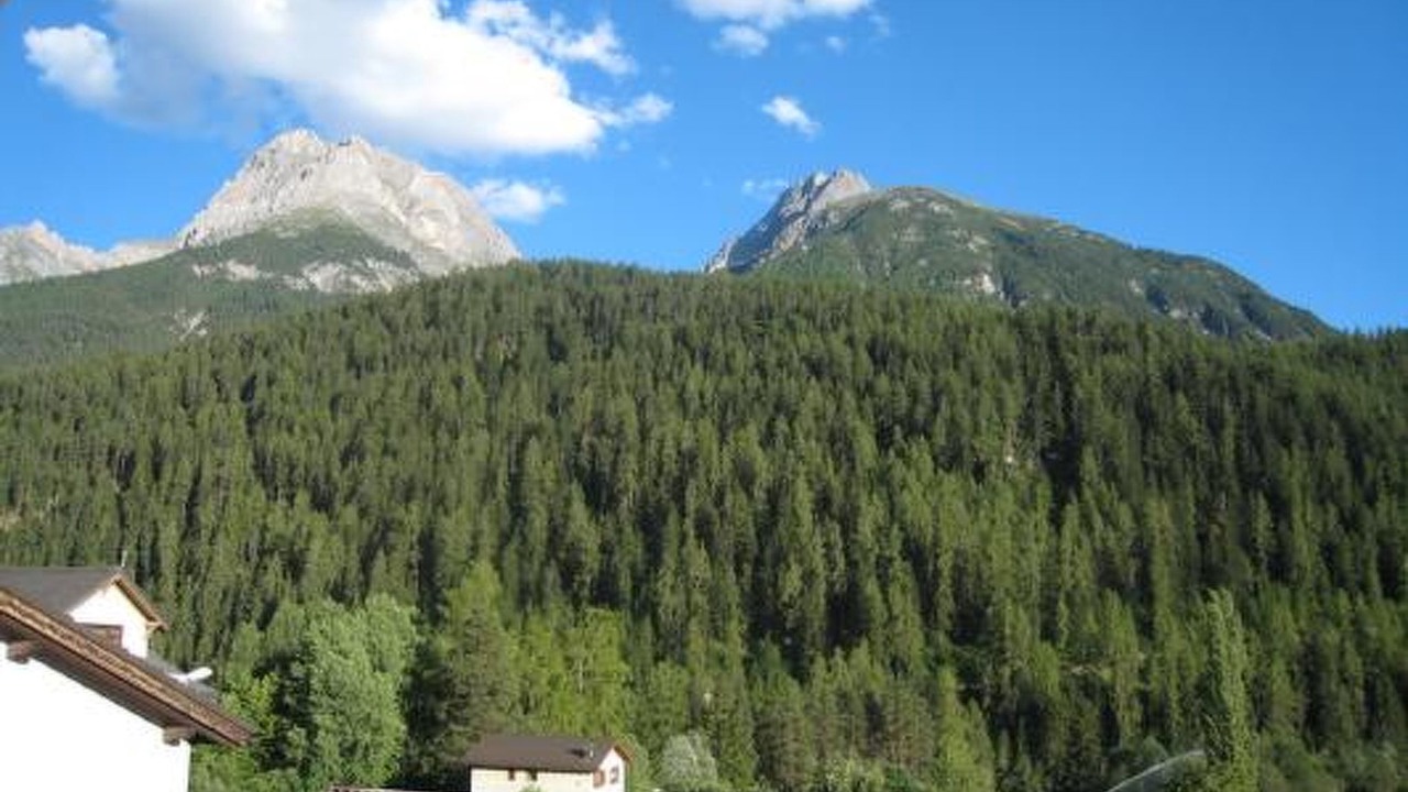 Photo of Others in Engadin Scoul