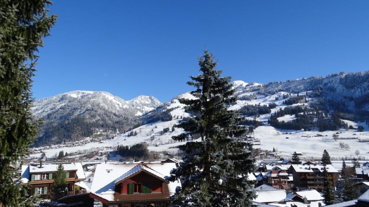 Photo of Others in Zweisimmen