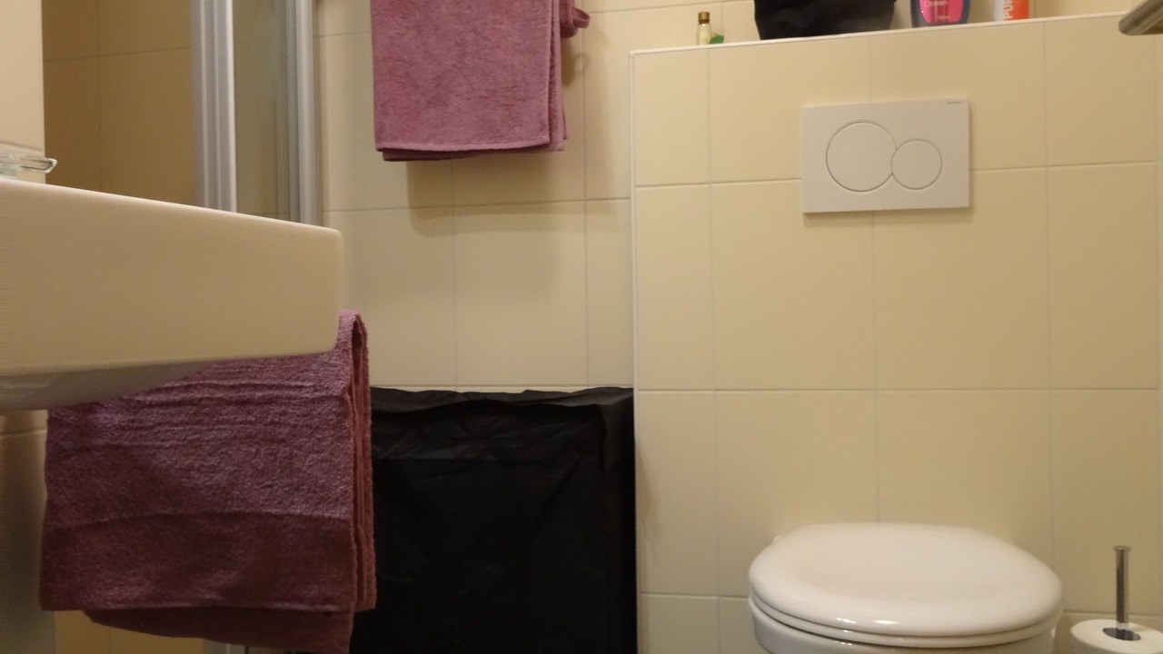 Photo of Bathroom in Orsieres