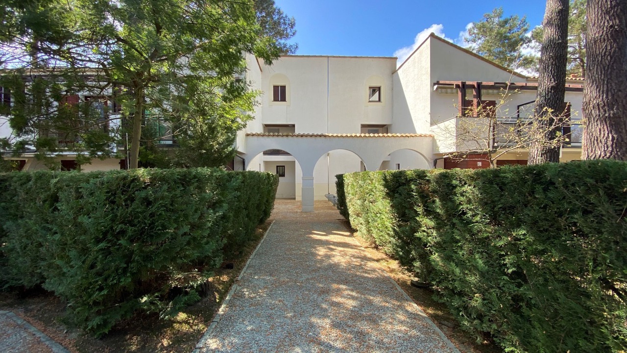 Photo of Others in La Palmyre