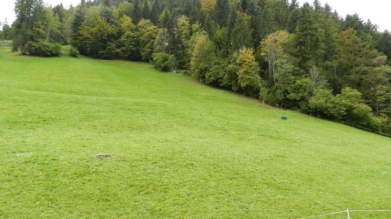 Photo of Outdoor in Saanen