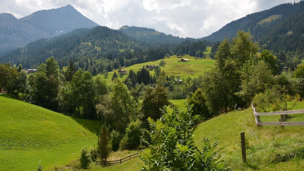 Photo of Others in Lauenen