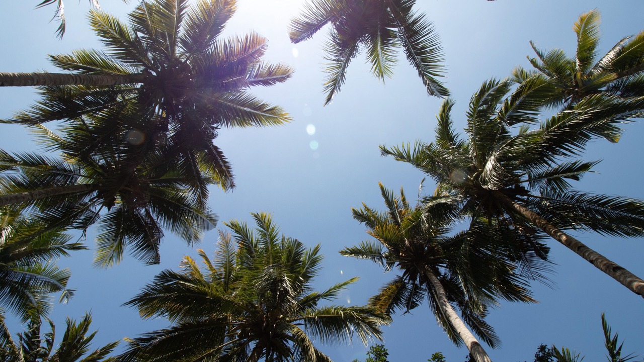 Photo of Outdoor in Melaya