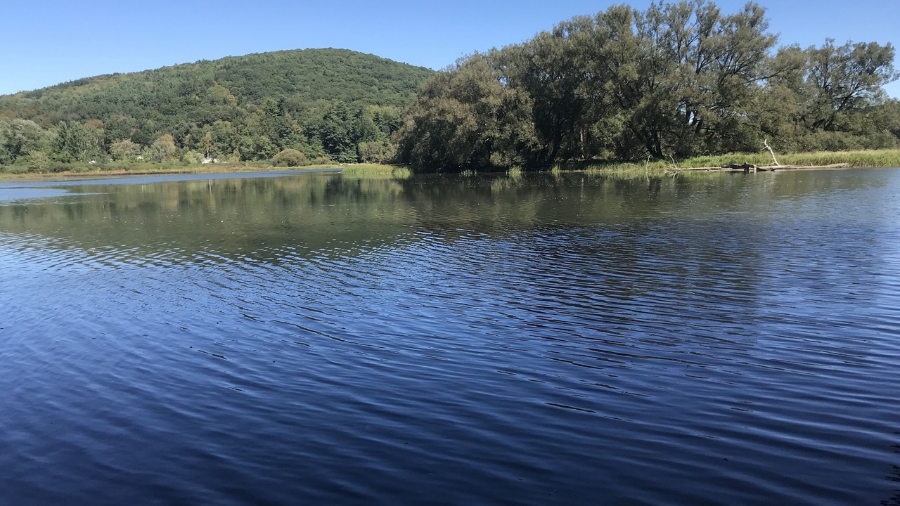 Photo of Outdoor in Oneonta