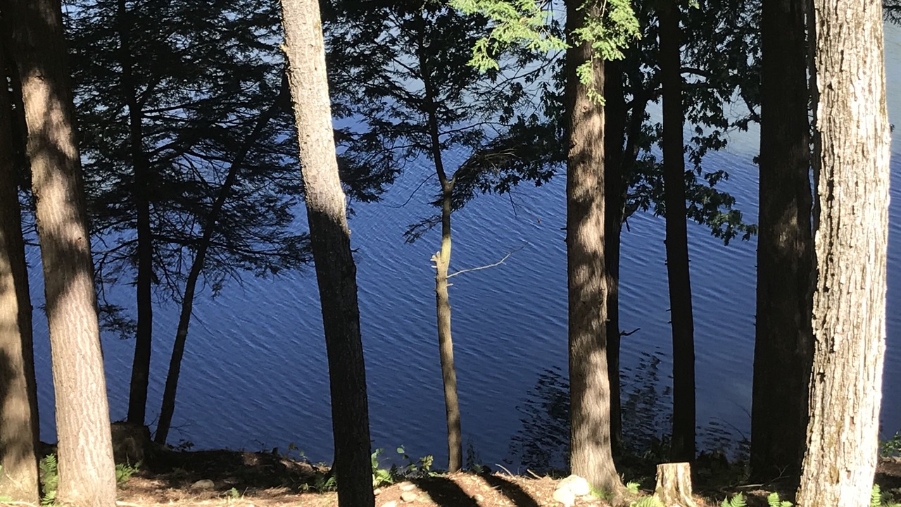 Photo of Outdoor in Oneonta